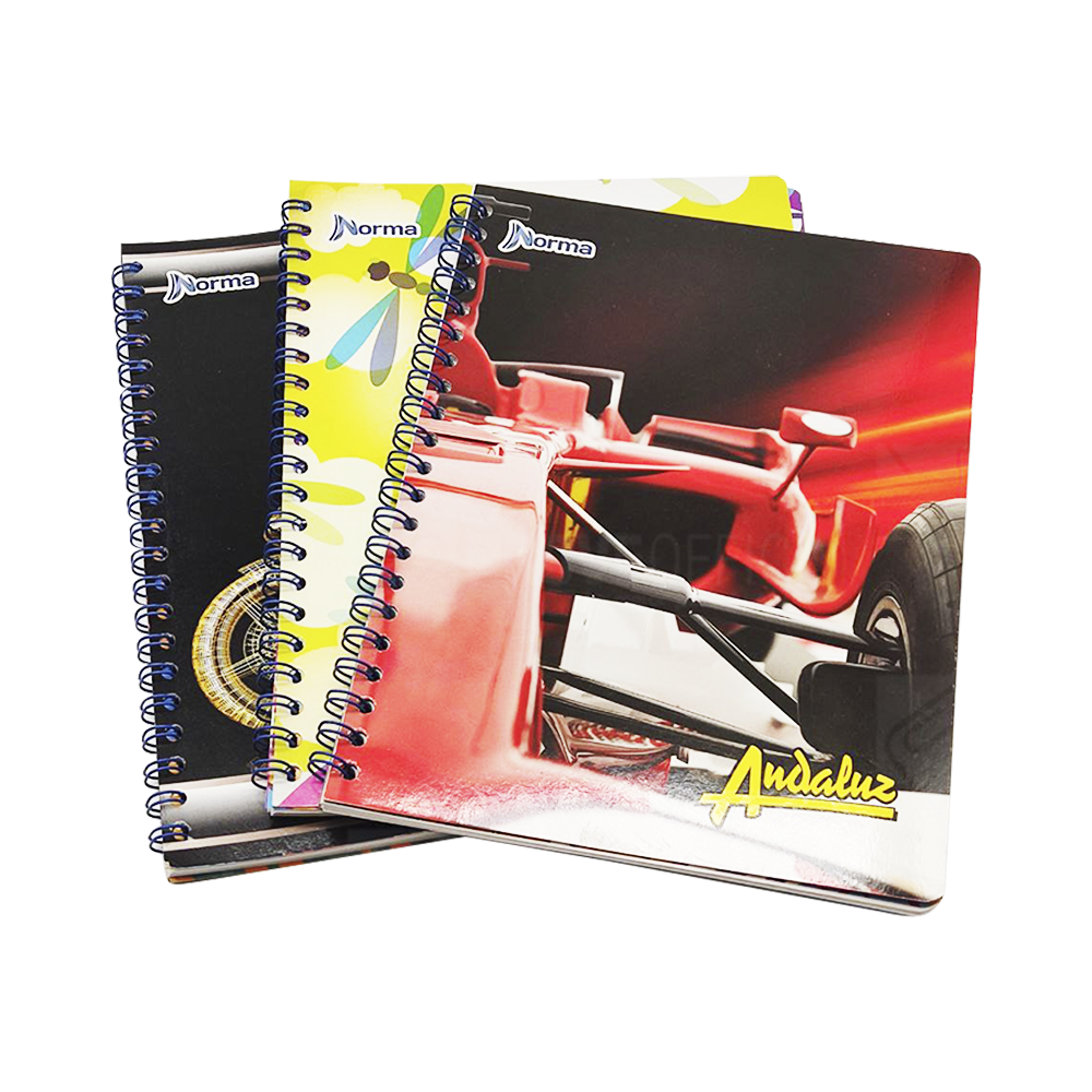 CUADERNO UNIVERSITARIO 100H ANDALUZ